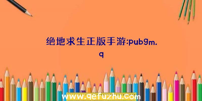 绝地求生正版手游:pubgm.q