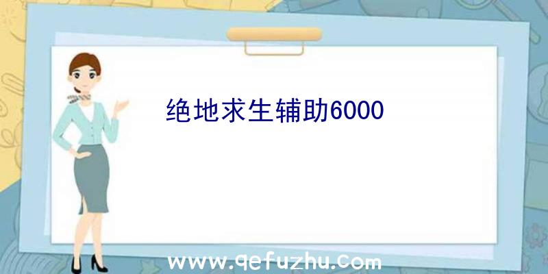 绝地求生辅助6000