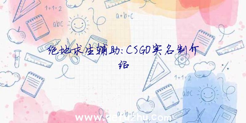 绝地求生辅助:CSGO实名制介绍