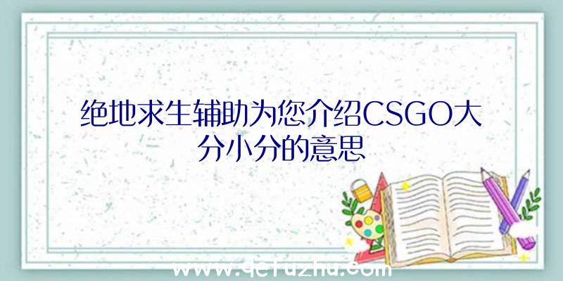 绝地求生辅助为您介绍CSGO大分小分的意思