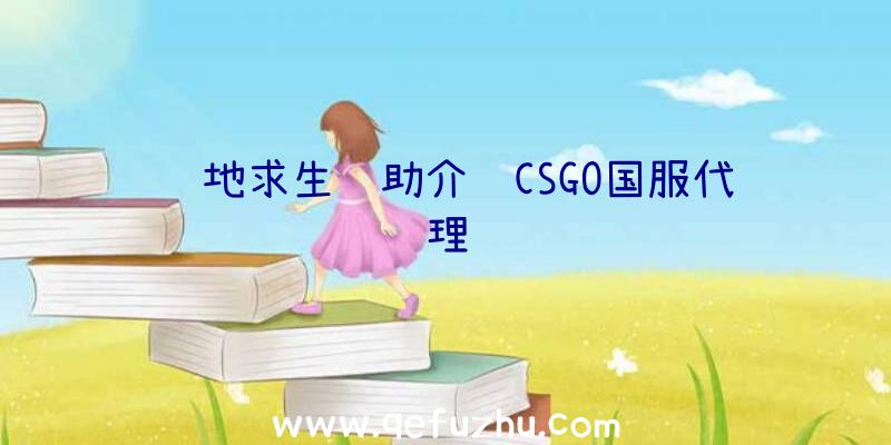 绝地求生辅助介绍CSGO国服代理