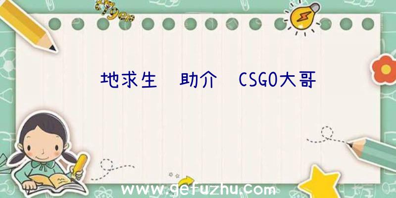 绝地求生辅助介绍CSGO大哥