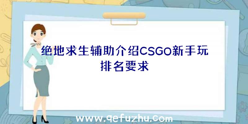 绝地求生辅助介绍CSGO新手玩排名要求