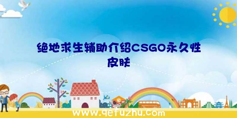 绝地求生辅助介绍CSGO永久性皮肤