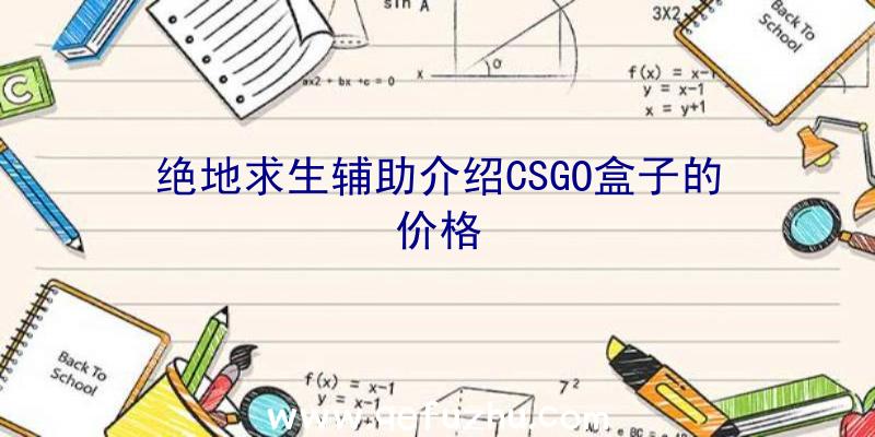 绝地求生辅助介绍CSGO盒子的价格