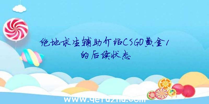 绝地求生辅助介绍CSGO黄金1的后续状态