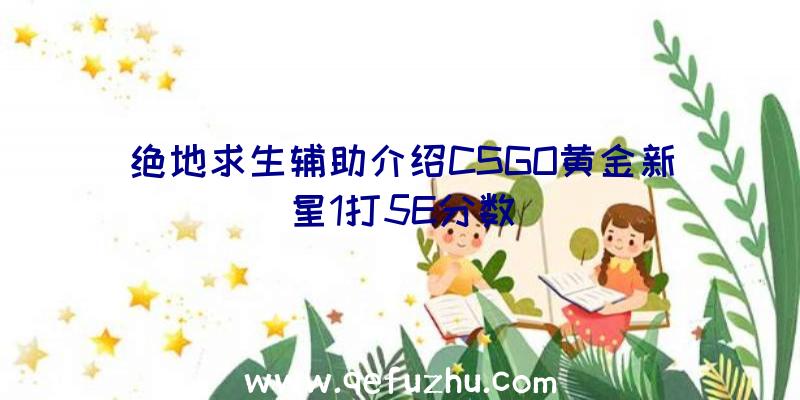 绝地求生辅助介绍CSGO黄金新星1打5E分数