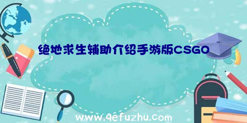 绝地求生辅助介绍手游版CSGO