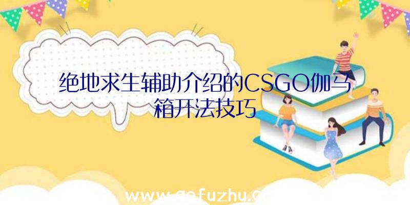 绝地求生辅助介绍的CSGO伽马箱开法技巧