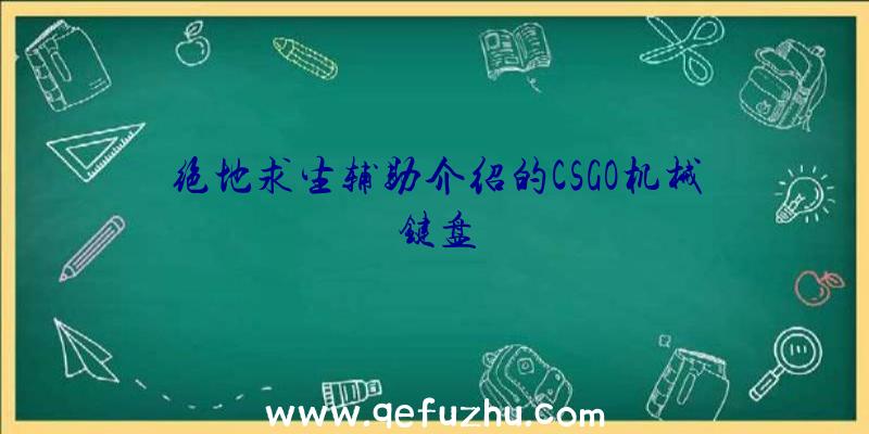 绝地求生辅助介绍的CSGO机械键盘