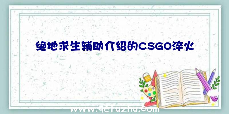 绝地求生辅助介绍的CSGO淬火