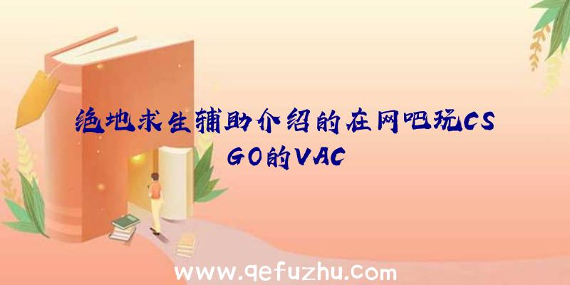 绝地求生辅助介绍的在网吧玩CSGO的VAC