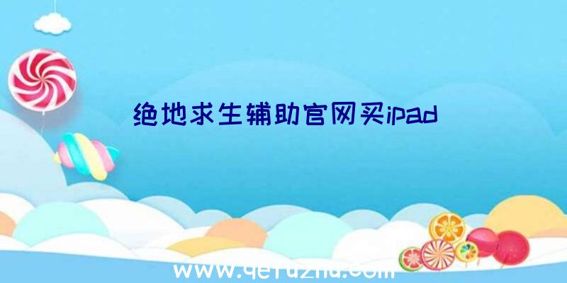 绝地求生辅助官网买ipad