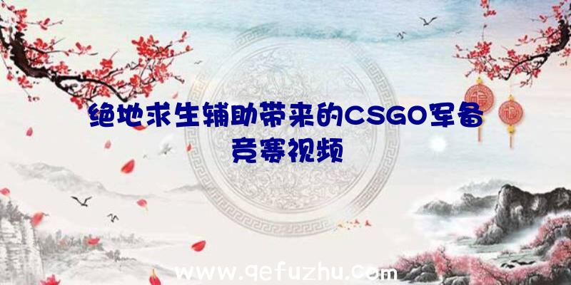 绝地求生辅助带来的CSGO军备竞赛视频