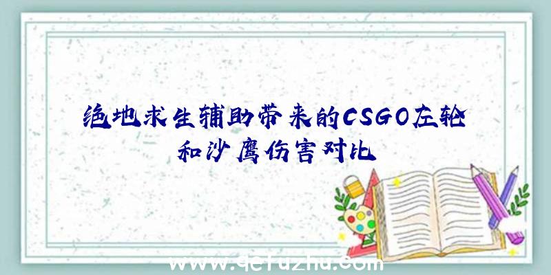 绝地求生辅助带来的CSGO左轮和沙鹰伤害对比