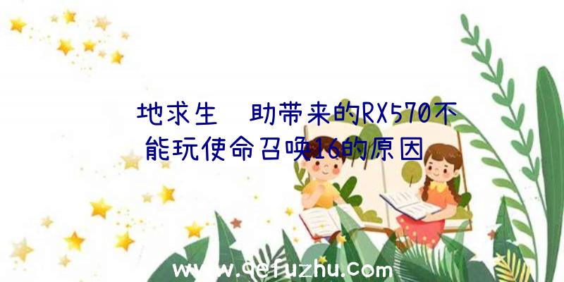 绝地求生辅助带来的RX570不能玩使命召唤16的原因