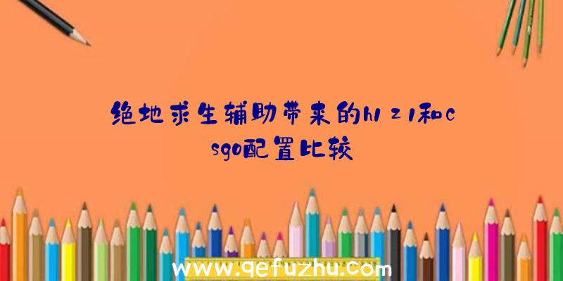 绝地求生辅助带来的h1z1和csgo配置比较