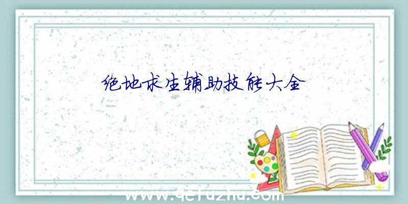 绝地求生辅助技能大全