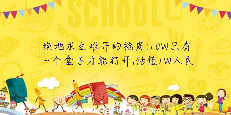 绝地求生难开的枪皮:10W只有一个盒子才能打开,估值1W人民