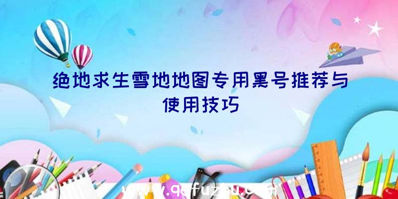 绝地求生雪地地图专用黑号推荐与使用技巧