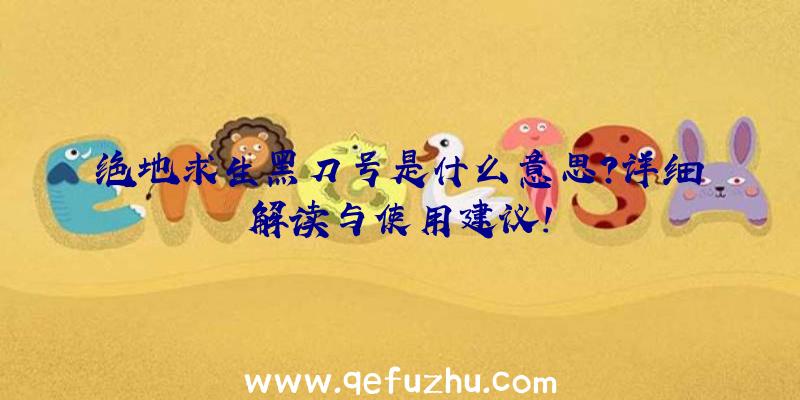 绝地求生黑刀号是什么意思？详细解读与使用建议！