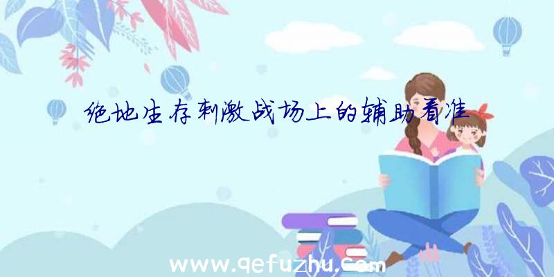 绝地生存刺激战场上的辅助看准