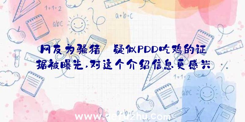 网友为骚猪:疑似PDD吃鸡的证据被曝光,对这个介绍信息更感兴