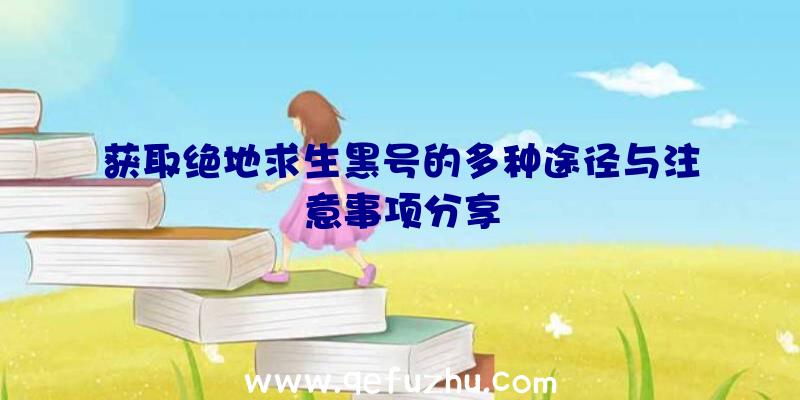 获取绝地求生黑号的多种途径与注意事项分享