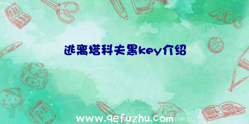 逃离塔科夫黑key介绍