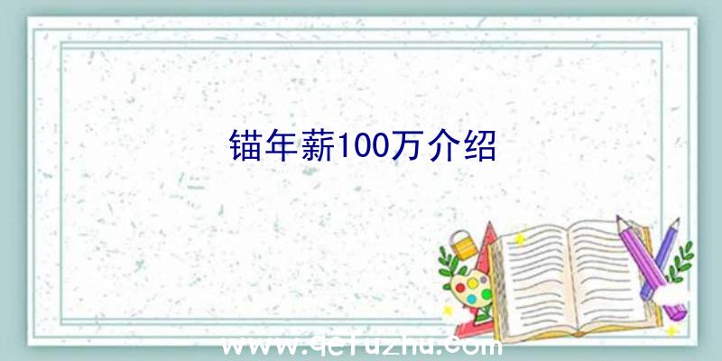 锚年薪100万介绍